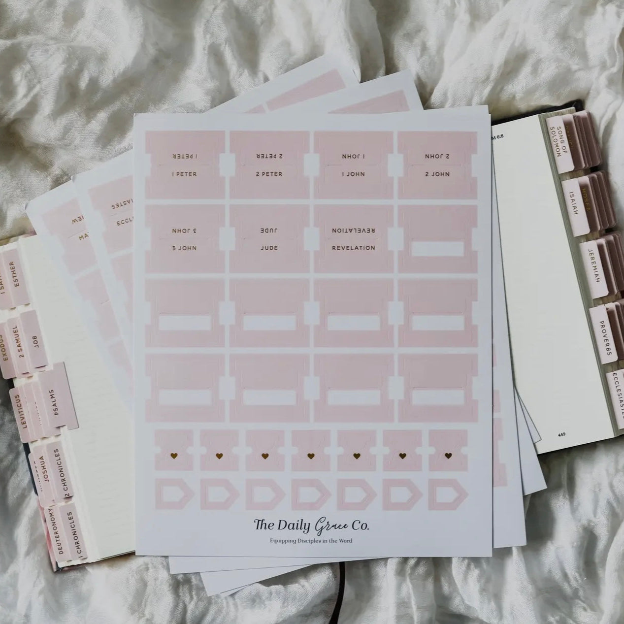 Blush Bible Tabs