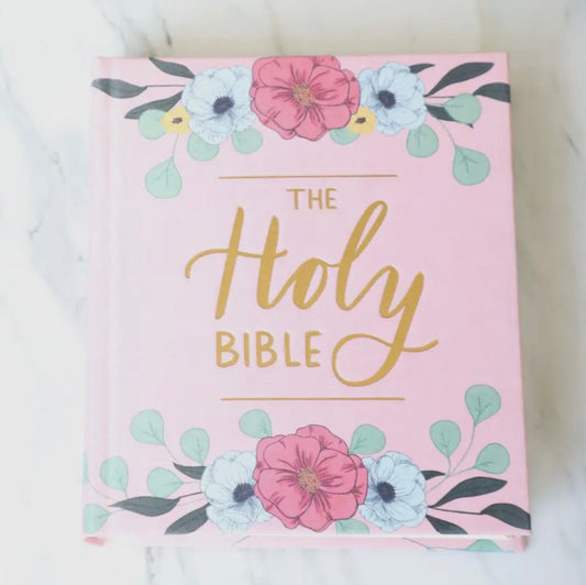Journaling  Bible ESV Blush